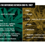 The Facts About Cbd:thc Ratio Explained – Cannasouth Medicinal Cannabis Uncovered